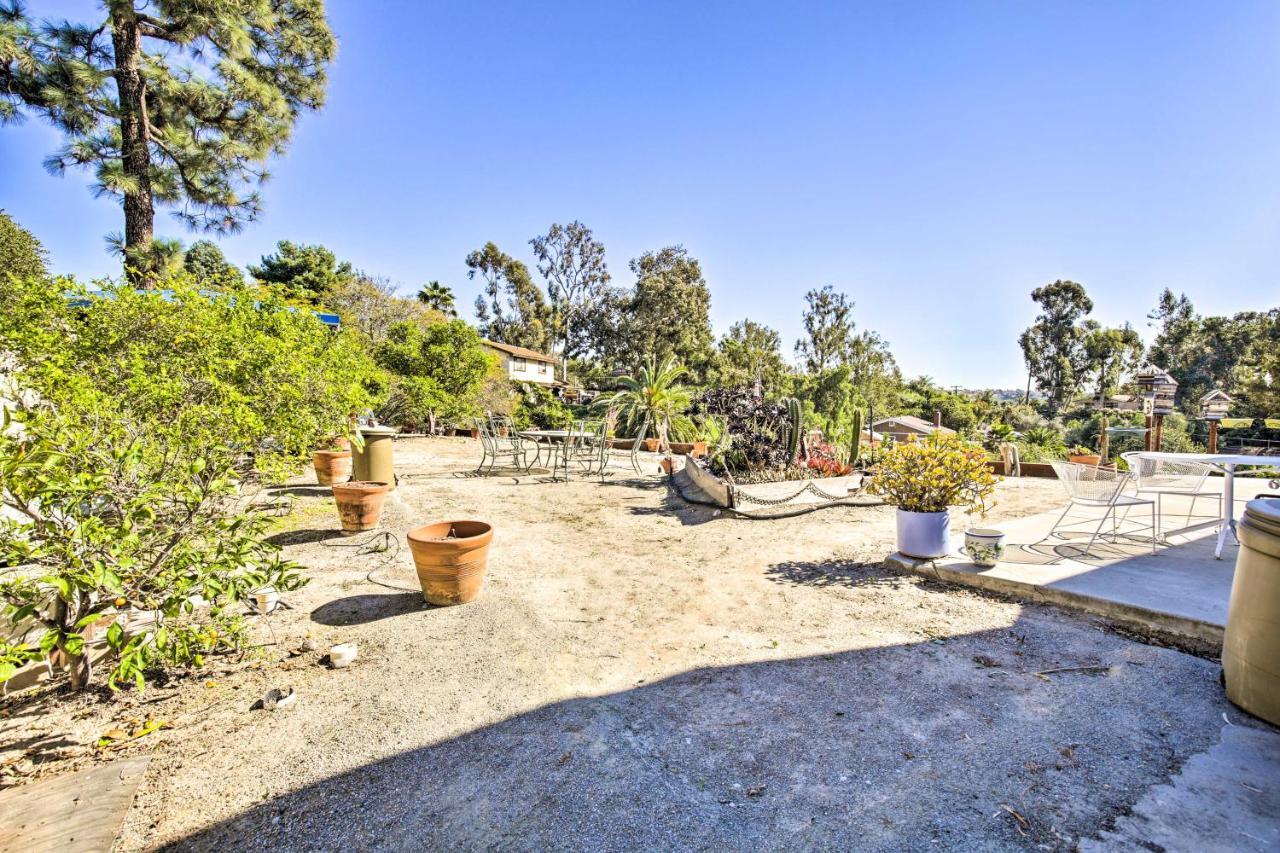 Sunny Bonita Studio About 5 Mi To Historic Dtwn! Exterior foto